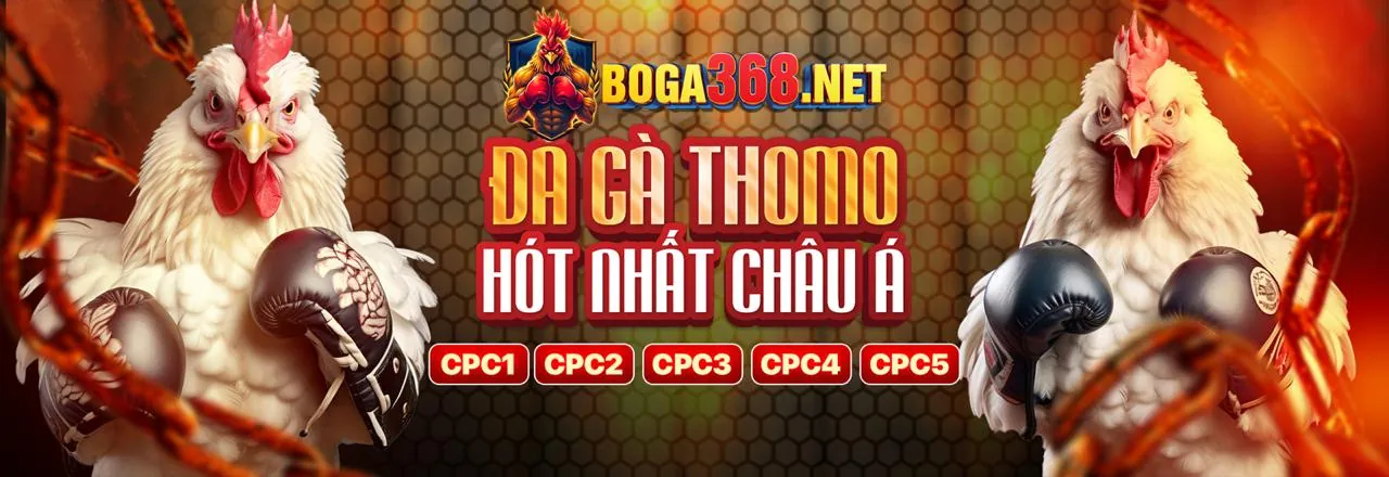 Đá Gà Trực Tuyến GGG88 Đăng Nhập